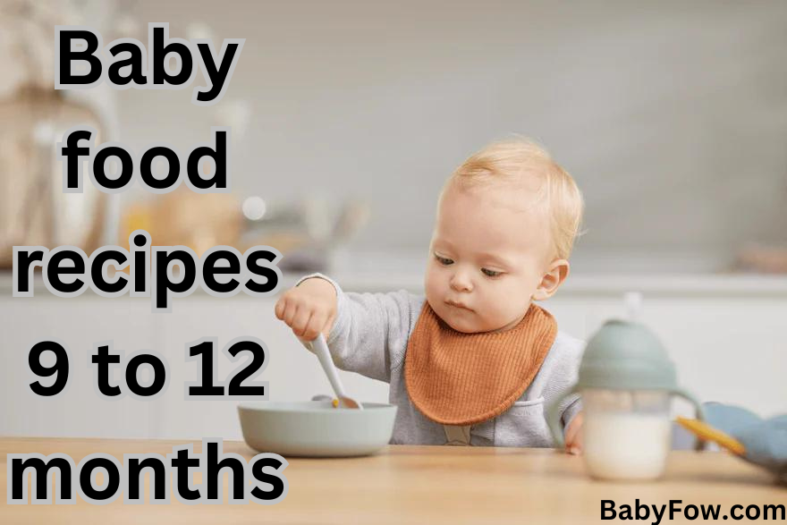 Baby food recipes 9 to 12 months.